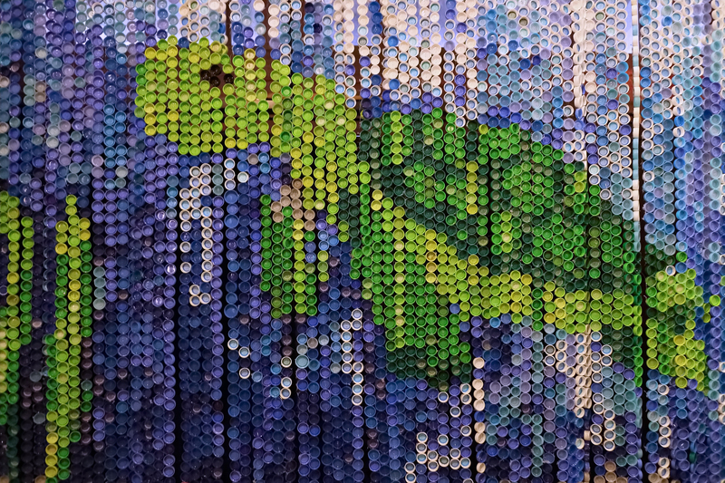 waste disposal junk removal